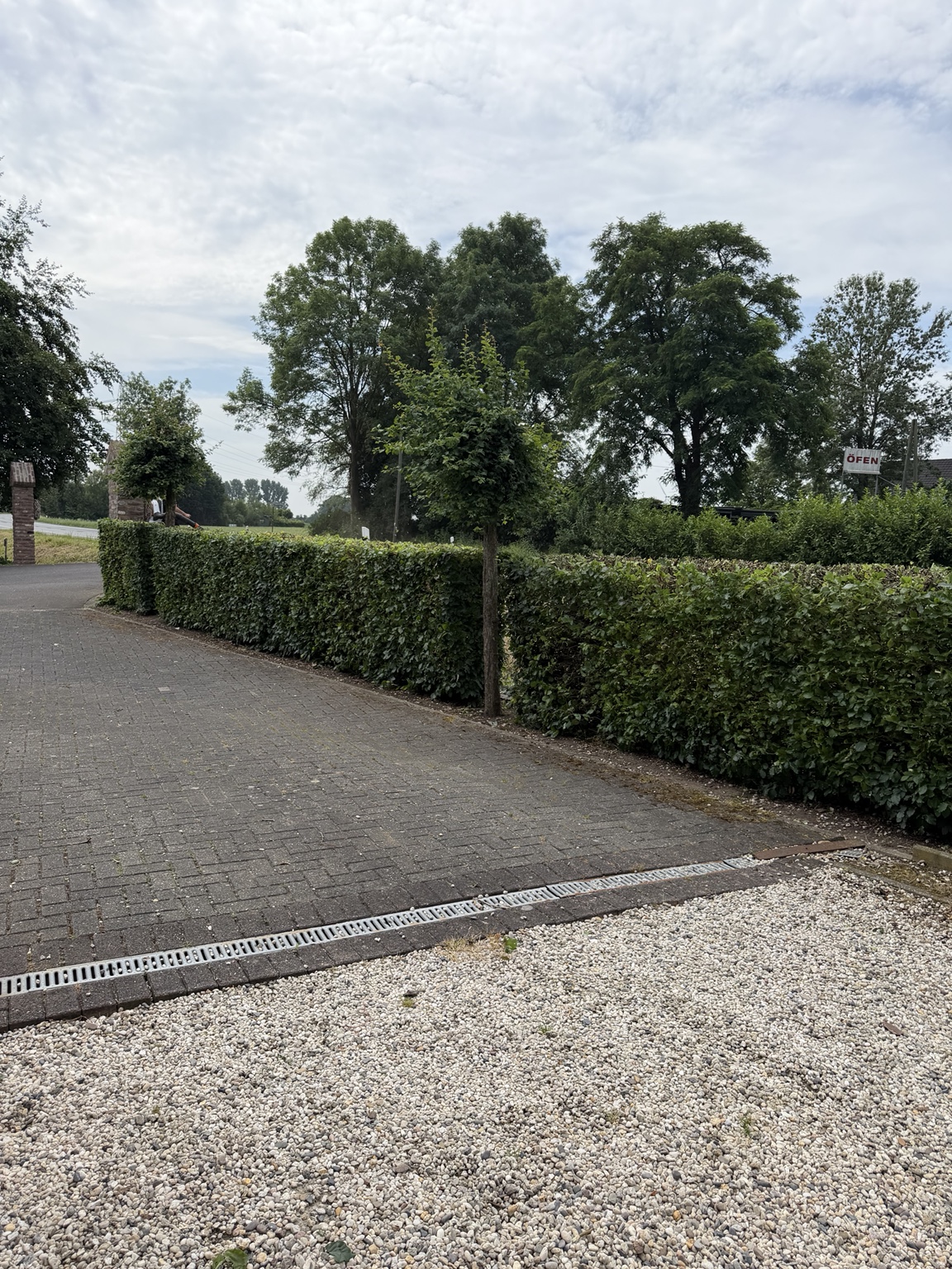 Hecke an der Straße